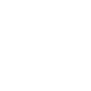 globe icon
